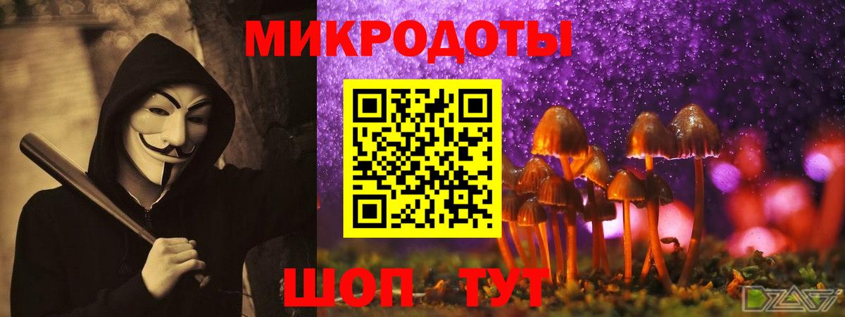 Псилоцибиновые грибы Cubensis Абакан