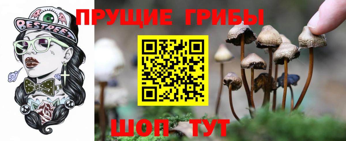 Галлюциногенные грибы Cubensis  где можно купить   Абакан  Вход с VPN 